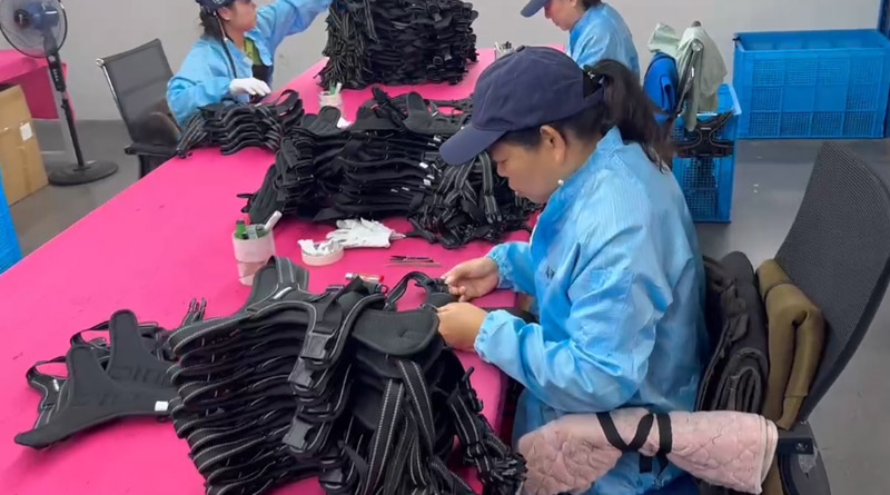 xc-sports宠物，无处不在