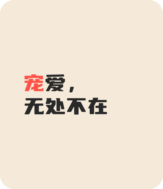 xc-sports宠物，无处不在